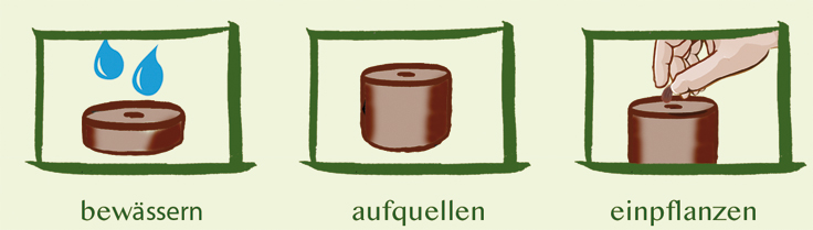 forest starterkit photo