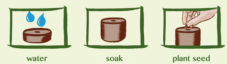 forest starterkit photo